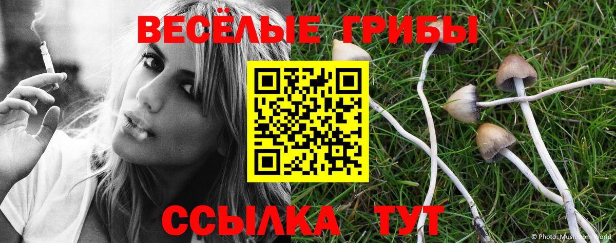 Псилоцибиновые грибы GOLDEN TEACHER  Вход с VPN  Кольчугино 