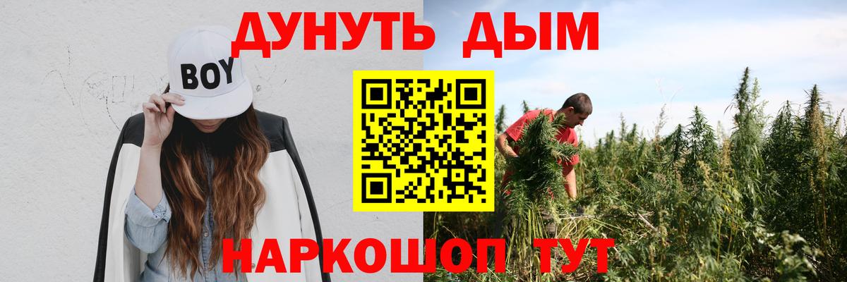 Конопля семена  Бошки Шишки LSD WEED  Конопля VHQ  Кольчугино  Вход с VPN 
