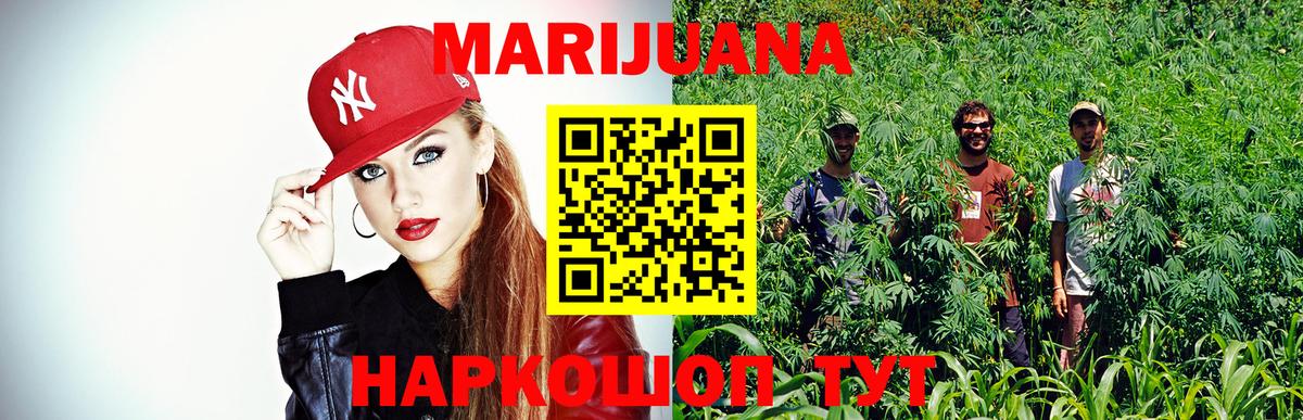 МАРИХУАНА OG Kush Кольчугино